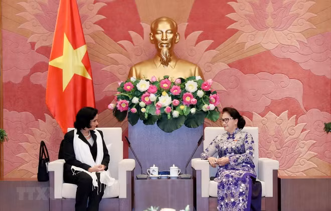 Presidenta de la Asamblea Nacional de Vietnam recibe a fiscal general de Cuba ảnh 1