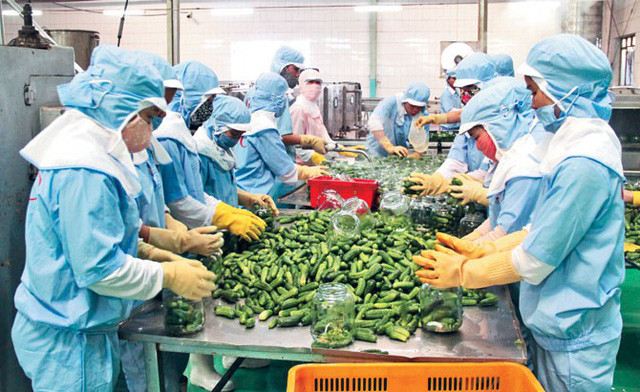 Vietnam ingresa 3,62 mil millones de dólares por ventas de productos agrícolas en mayo ảnh 1 Vietnam ingresa 3,62 mil millones de dólares por ventas de productos agrícolas en mayo ảnh 1