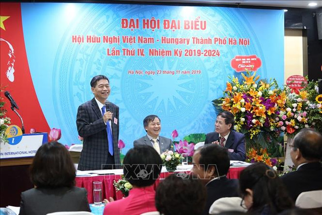 Destacan papel de Asociación de Amistad Vietnam - Hungría para lazos binacionales ảnh 1