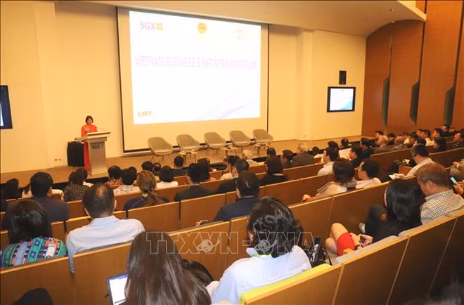 Efectúan en Singapur foro sobre negocios con Vietnam ảnh 1
