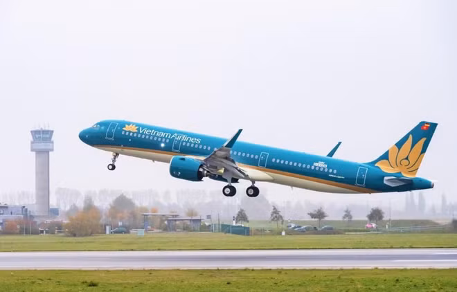 Vietnam Airlines inaugura nuevo vuelo directo entre Da Nang y ciudad china de Chengdu ảnh 1