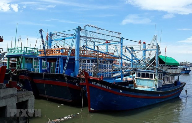 Provincia de Vietnam empeñada en reforzar combate contra la pesca ilegal ảnh 1 Provincia de Vietnam empeñada en reforzar combate contra la pesca ilegal ảnh 1