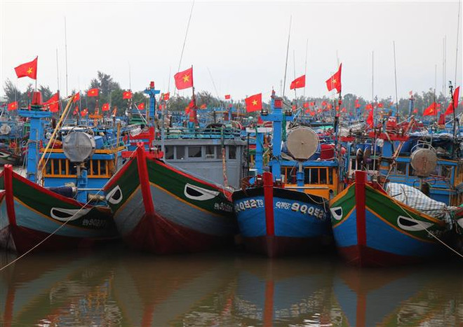 Provincia vietnamita promueve cambio en conciencia para luchar contra la pesca ilegal ảnh 1 Provincia vietnamita promueve cambio en conciencia para luchar contra la pesca ilegal ảnh 1