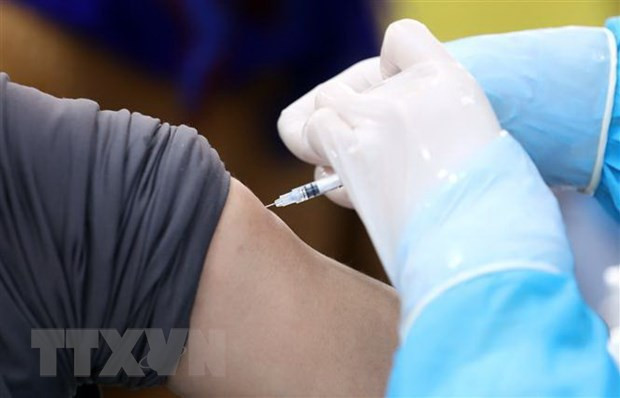 Vietnam registra 333 nuevos contagios de COVID-19 ảnh 1