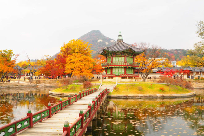 Vuelos de Vietjet conectan Can Tho, Da Lat y Corea del Sur ảnh 2 Vuelos de Vietjet conectan Can Tho, Da Lat y Corea del Sur ảnh 2