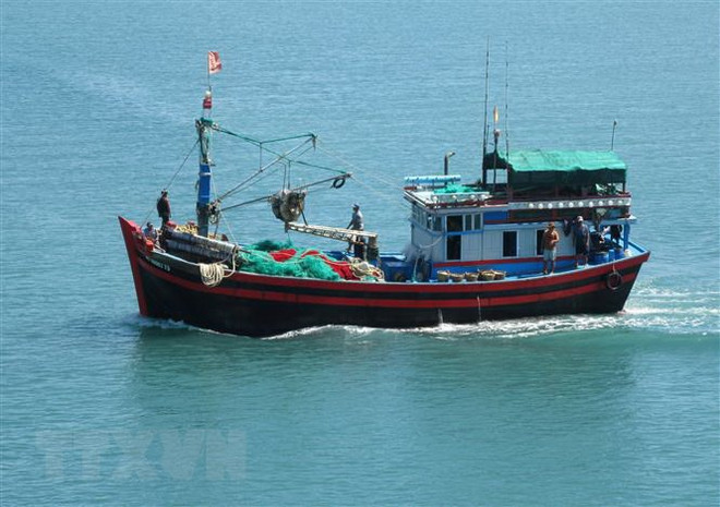 Provincia vietnamita acomete labores contra la pesca ilegal ảnh 1 Provincia vietnamita acomete labores contra la pesca ilegal ảnh 1