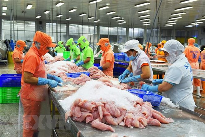 En alza exportaciones vietnamitas de pescado Tra a Estados Unidos ảnh 1 En alza exportaciones vietnamitas de pescado Tra a Estados Unidos ảnh 1