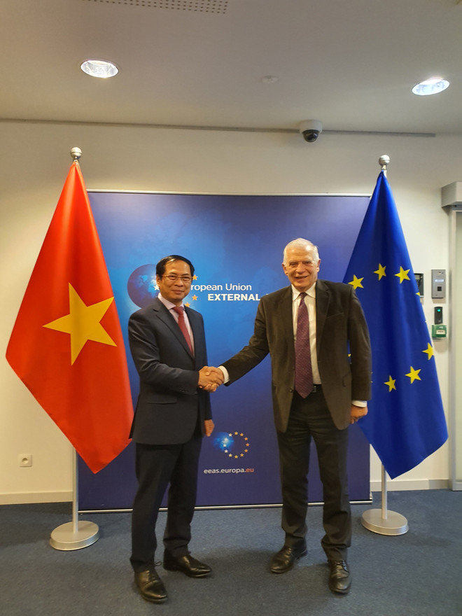 Unión Europea considera Vietnam socio importante en Indo-Pacífico ảnh 1 Unión Europea considera Vietnam socio importante en Indo-Pacífico ảnh 1