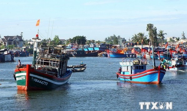 Viceministro vietnamita insta a sanciones estrictas contra pesca ilegal ảnh 2 Viceministro vietnamita insta a sanciones estrictas contra pesca ilegal ảnh 2