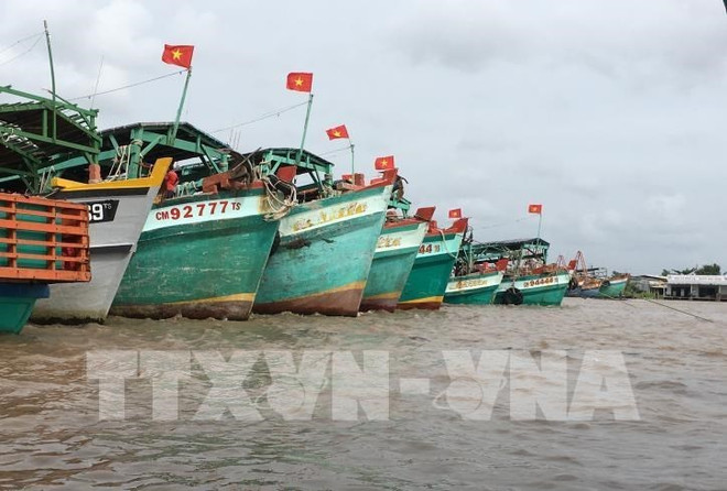 Aumentan conciencia de pescadores sobre pesca ilegal en provincia vietnamita ảnh 1 Aumentan conciencia de pescadores sobre pesca ilegal en provincia vietnamita ảnh 1