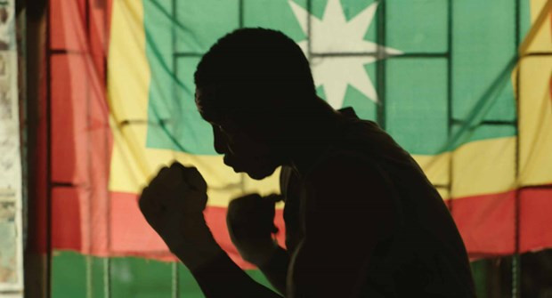 Promueven la cultura y el cine de Colombia a través de proyección de películas ảnh 1 Promueven la cultura y el cine de Colombia a través de proyección de películas ảnh 1