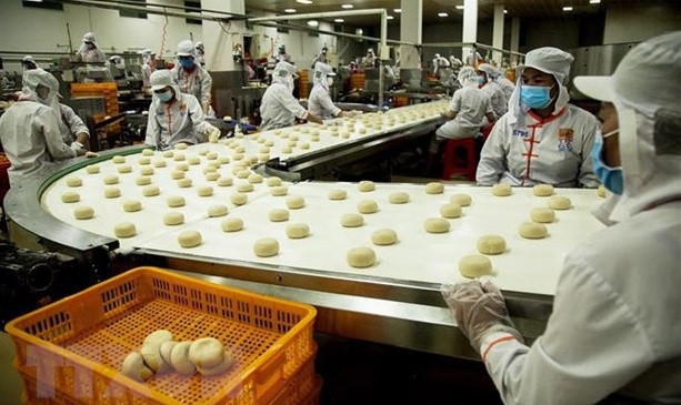 Vietnam e Indonesia pueden cooperar para convertirse en locomotoras económicas de la región ảnh 1 Vietnam e Indonesia pueden cooperar para convertirse en locomotoras económicas de la región ảnh 1