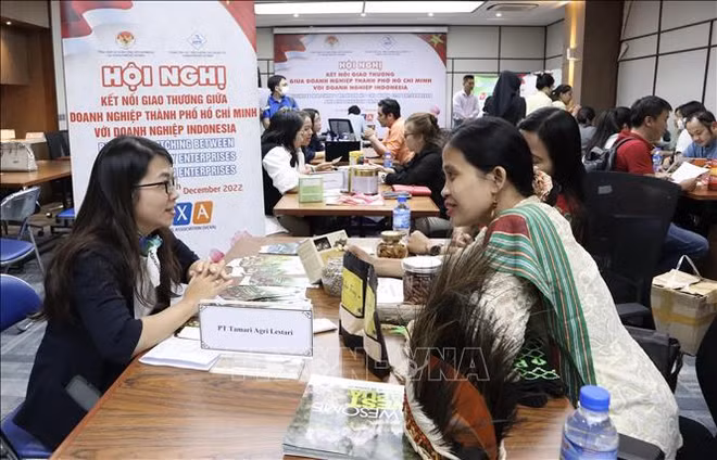 Vietnam e Indonesia disponen de potencialidades comerciales ảnh 1