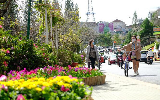 Inauguran IX Festival de las Flores de Da Lat ảnh 2 Inauguran IX Festival de las Flores de Da Lat ảnh 2
