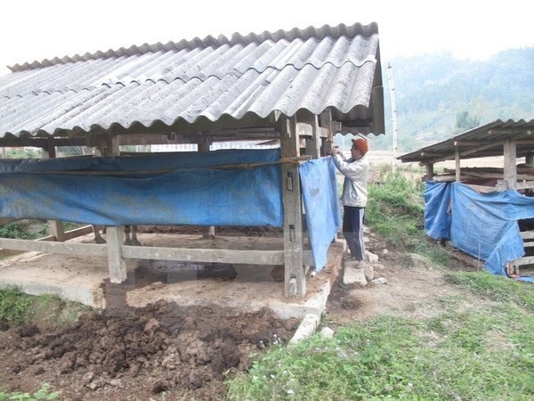 Fuerte ola de frío azota región norteña de Vietnam ảnh 1 Fuerte ola de frío azota región norteña de Vietnam ảnh 1