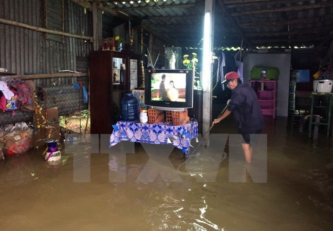 Japón presta asistencia a provincias vietnamitas afectadas por tifón Damrey ảnh 1 Japón presta asistencia a provincias vietnamitas afectadas por tifón Damrey ảnh 1