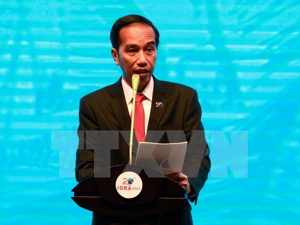 Presidente de Indonesia asistirá a Cumbre del APEC 2017 ảnh 1 Presidente de Indonesia asistirá a Cumbre del APEC 2017 ảnh 1