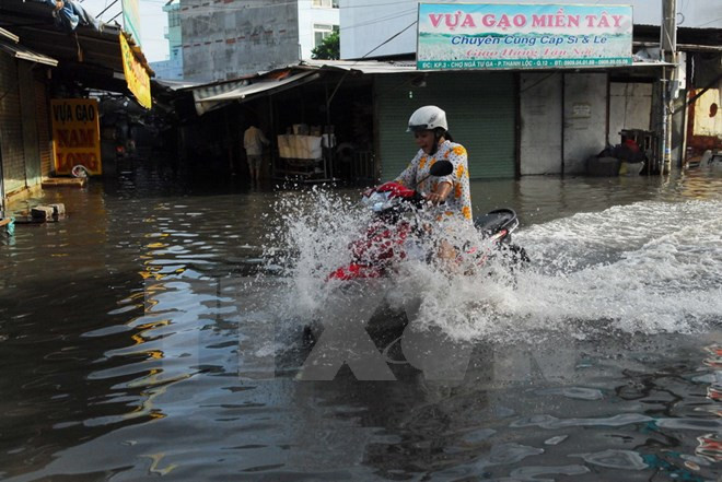 Ciudad Ho Chi Minh coopera con empresa india en protección contra inundaciones ảnh 1 Ciudad Ho Chi Minh coopera con empresa india en protección contra inundaciones ảnh 1