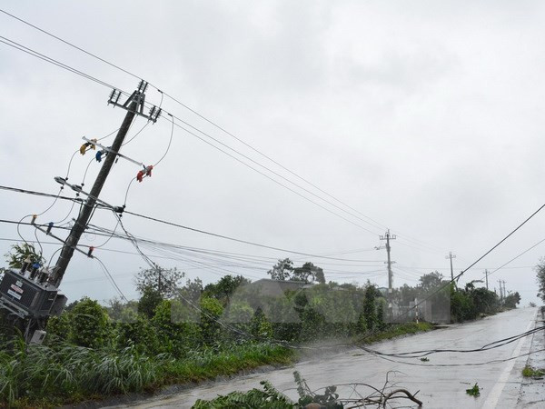 Vietnam registra grandes pérdidas por el tifón Damrey ảnh 1 Vietnam registra grandes pérdidas por el tifón Damrey ảnh 1