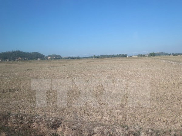 ADB concede asistencia millonaria a Vietnam para desarrollo de urbes verdes ảnh 1 ADB concede asistencia millonaria a Vietnam para desarrollo de urbes verdes ảnh 1