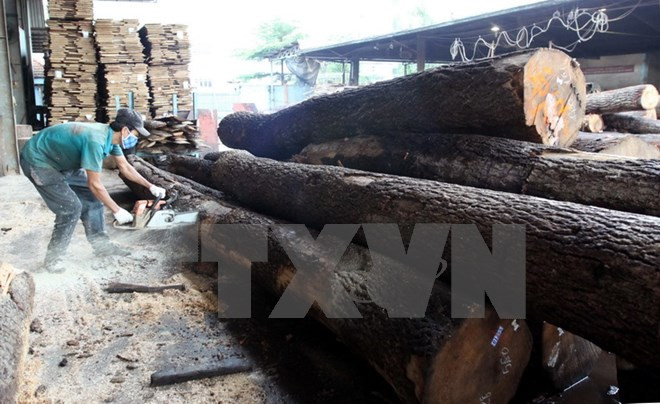 Vietnam reporta ingreso multimillonario por exportación de productos madereros ảnh 1 Vietnam reporta ingreso multimillonario por exportación de productos madereros ảnh 1