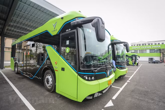 Perspectivas para desarrollo de vehículos eléctricos en Vietnam ảnh 1