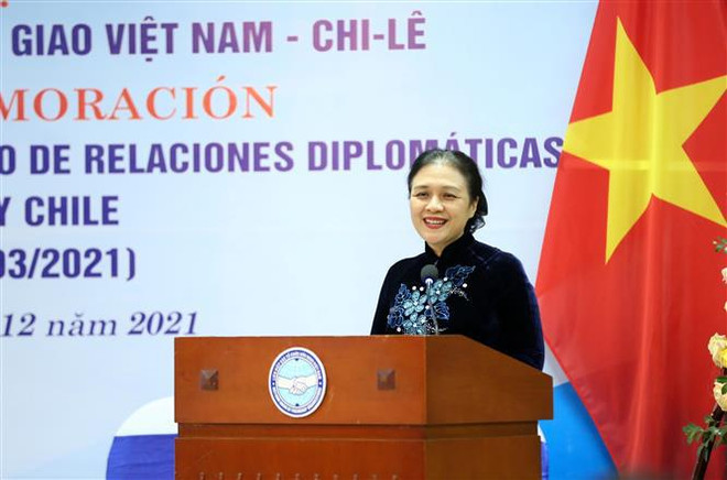 Vietnam y Chile conmemoran aniversario 50 de nexos diplomáticos ảnh 2 Vietnam y Chile conmemoran aniversario 50 de nexos diplomáticos ảnh 2