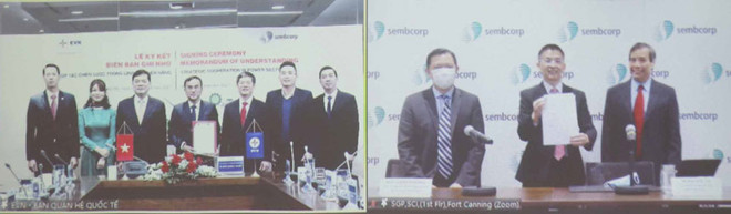 Grupos de Vietnam y Singapur entablan cooperación en producción de electricidad ảnh 1