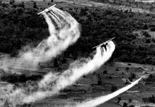 Honran obras periodísticas destacadas sobre Agente Naranja en Vietnam ảnh 1 Honran obras periodísticas destacadas sobre Agente Naranja en Vietnam ảnh 1