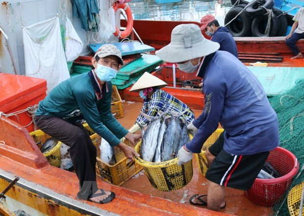 Vietnam se esfuerza por levantamiento de tarjeta amarilla impuesta al sector pesquero ảnh 1 Vietnam se esfuerza por levantamiento de tarjeta amarilla impuesta al sector pesquero ảnh 1