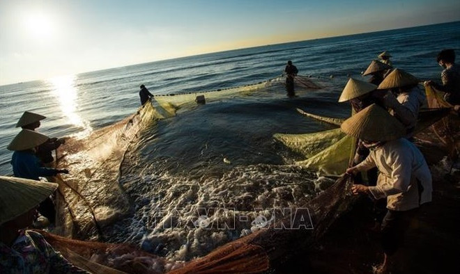 Vietnam y Camboya promueven cooperación en agricultura, silvicultura y pesca ảnh 1 Vietnam y Camboya promueven cooperación en agricultura, silvicultura y pesca ảnh 1