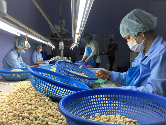 Destacan cooperación entre Vietnam y región de Medio Oriente y África ảnh 2 Destacan cooperación entre Vietnam y región de Medio Oriente y África ảnh 2