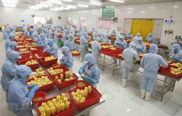 Exhortan a empresas vietnamitas a aprovechar oportunidades de exportación a Reino Unido ảnh 1