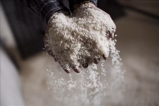 Indonesia sin importar arroz por tercer año consecutivo ảnh 1