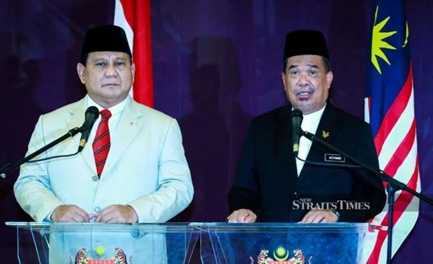 Intensifican Malasia e Indonesia cooperación en defensa ảnh 1 Intensifican Malasia e Indonesia cooperación en defensa ảnh 1