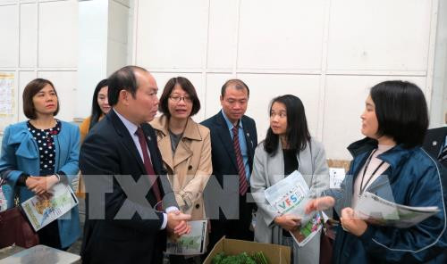 Desea Vietnam aprender del modelo japonés de cooperativas multiservicios ảnh 1 Desea Vietnam aprender del modelo japonés de cooperativas multiservicios ảnh 1