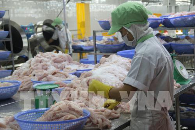 Aumenta Vietnam exportaciones de atún a México ảnh 1 Aumenta Vietnam exportaciones de atún a México ảnh 1