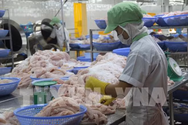 Aumenta Vietnam exportaciones de atún a México ảnh 1