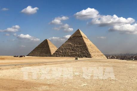 Busca Vietnam ampliar cooperación bilateral con Egipto ảnh 1 Busca Vietnam ampliar cooperación bilateral con Egipto ảnh 1