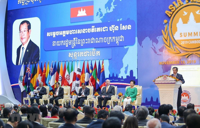 Participa Vietnam en Cumbre Asia- Pacífico 2019 ảnh 1