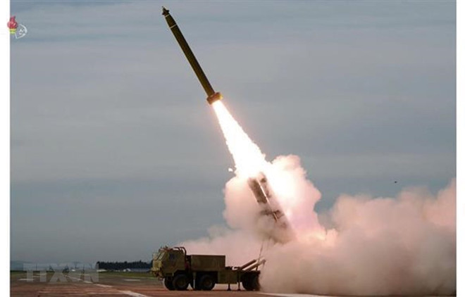 Emite Vietnam decreto gubernamental para reforzar lucha contra proliferación de armas ảnh 1