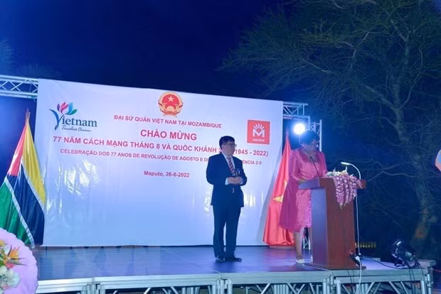 Mozambique continúa impulsando la cooperación sustantiva con Vietnam ảnh 1