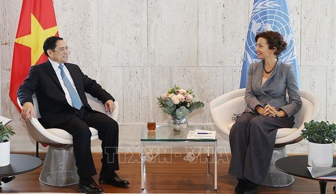 Resalta UNESCO cooperación con Vietnam como ejemplo eficaz ảnh 2 Resalta UNESCO cooperación con Vietnam como ejemplo eficaz ảnh 2