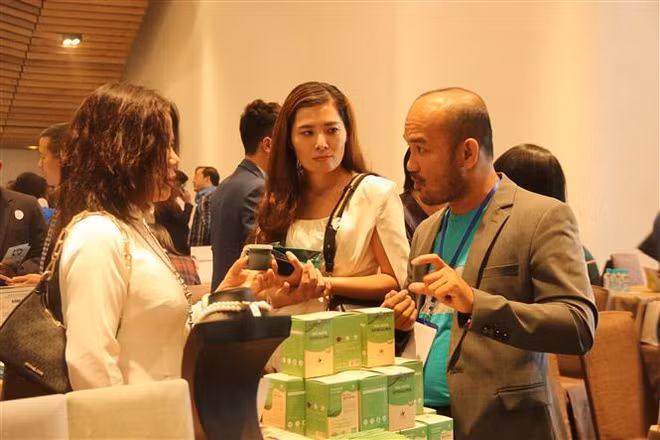 Promueven inversión entre países miembros de ASEAN ảnh 1