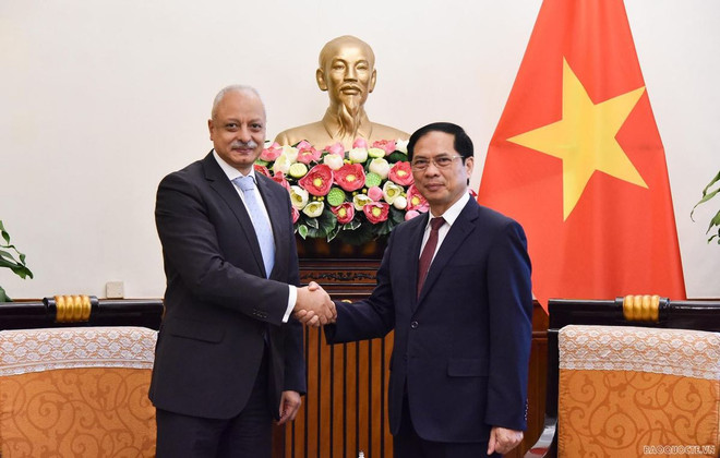 Promueven Vietnam cooperación multifacética con Egipto ảnh 1 Promueven Vietnam cooperación multifacética con Egipto ảnh 1