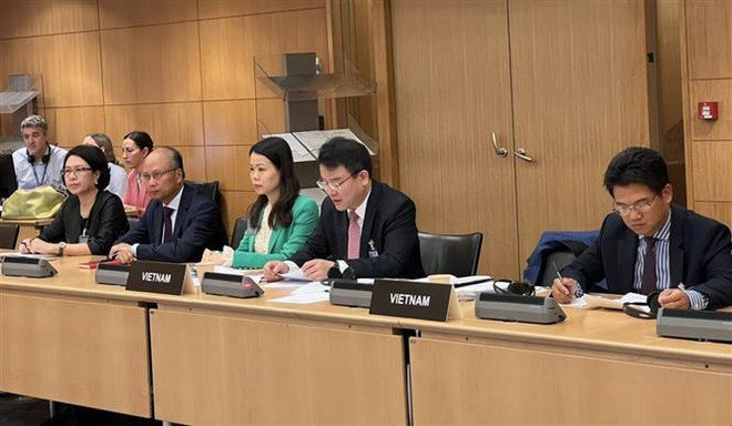 Vietnam y OECD elaboran proyecto de Informe Económico de Vietnam ảnh 2 Vietnam y OECD elaboran proyecto de Informe Económico de Vietnam ảnh 2