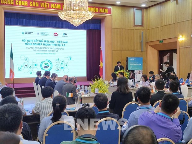 Conferencia conecta empresas agrícolas de Vietnam e Irlanda ảnh 1 Conferencia conecta empresas agrícolas de Vietnam e Irlanda ảnh 1