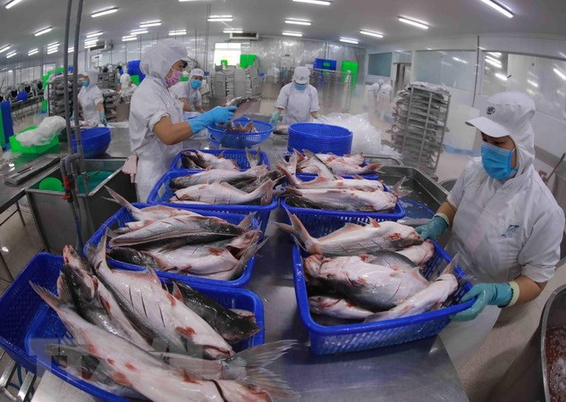 Cae la exportación vietnamita de camarones y sube la del pescado Tra ảnh 1