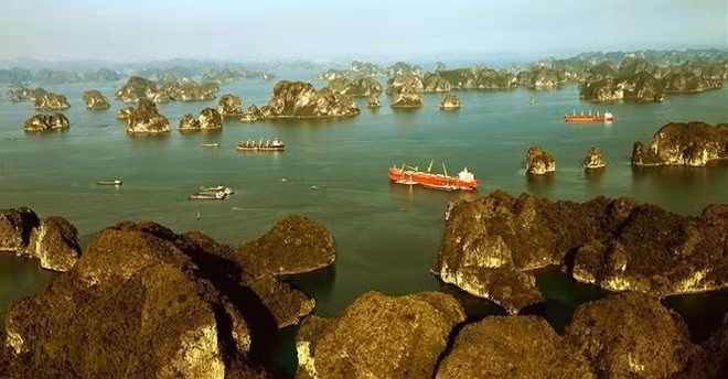 Resalta UNESCO cooperación con Vietnam como ejemplo eficaz ảnh 1 Resalta UNESCO cooperación con Vietnam como ejemplo eficaz ảnh 1
