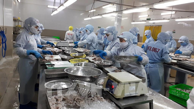 Vietnam busca 50 mil millones de dólares en exportación agrícola en 2022 ảnh 2 Vietnam busca 50 mil millones de dólares en exportación agrícola en 2022 ảnh 2
